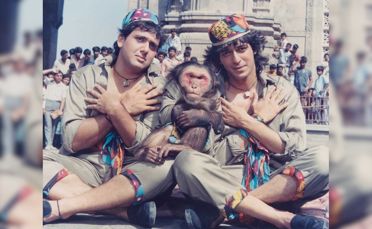 दो डायरेक्टर ने बनाई थी गोविंदा की ये फिल्म, डबल रोल में थे 3 स्टार, 1.86 करोड़ में बनी कमाए 24 करोड़, साउथ में बना रीमेक