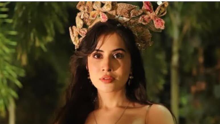 'Mai India Me Theek Hu': Uorfi Javed Slams Rs 80 Lakh Demand For Cannes Film Festival Entry