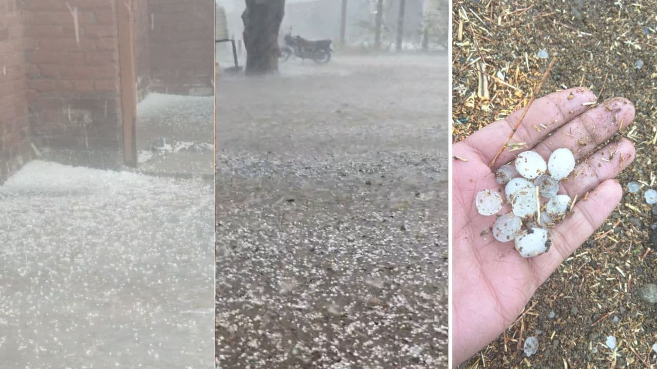 नरसिंहपुर जिले के सालीचौका से लगे ग्राम बाँसुरिया और जमाडा सहित आसपास के कई गांव में जमकर ओले बरसे । करीब 15–20 मिनट तक ओलों ने कहर बरपाया। बताया जा रहा अहि कि ऐसे हाल में मूंग की फसल को भारी नुकसान हो सकता है वहीं चना की फसल में भी नुकसान हो सकता है । तेज हवाओं के चलते कई गांवों की विद्युत सप्लाई भी प्रभावित रही । हालांकि इस बदलाव से गर्मी और उमस से लोगों को थोड़ी राहत जरूर मिली । नरसिंहपुर जिले के सालीचौका से लगे ग्राम बाँसुरिया और जमाडा सहित आसपास के कई गांव में जमकर ओले बरसे । करीब 15–20 मिनट तक ओलों ने कहर बरपाया। बताया जा रहा अहि कि ऐसे हाल में मूंग की फसल को भारी नुकसान हो सकता है वहीं चना की फसल में भी नुकसान हो सकता है । तेज हवाओं के चलते कई गांवों की विद्युत सप्लाई भी प्रभावित रही । हालांकि इस बदलाव से गर्मी और उमस से लोगों को थोड़ी राहत जरूर मिली ।