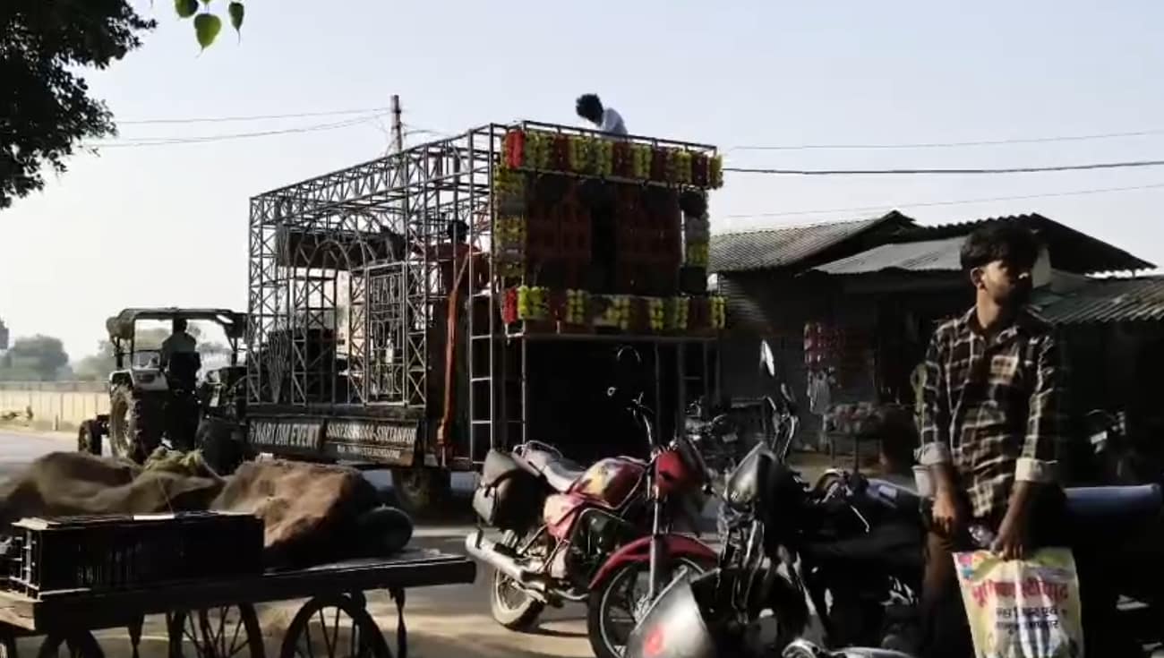 UP news 140 chickens die due to loud dj noise in sultanpur