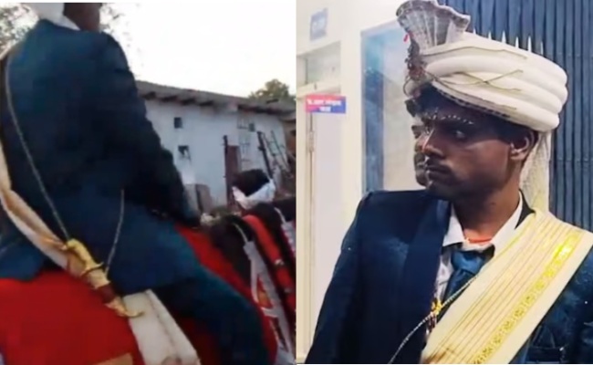 'People Like You Can't Ride': Dalit Groom Dragged Off Horse, Thrashed