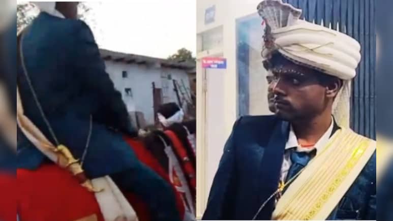 'People Like You Can't Ride': Dalit Groom Dragged Off Horse, Thrashed In Madhya Pradesh