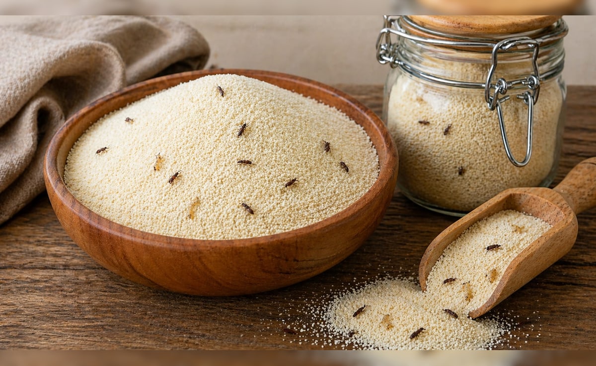 Suji Storage Tips: क्या गर्मियों में आपके घर पर रखी सूजी में भी लग जाते हैं कीड़े? सालभर फ्रेश रखने के लिए अपनाएं ये आसान तरीके