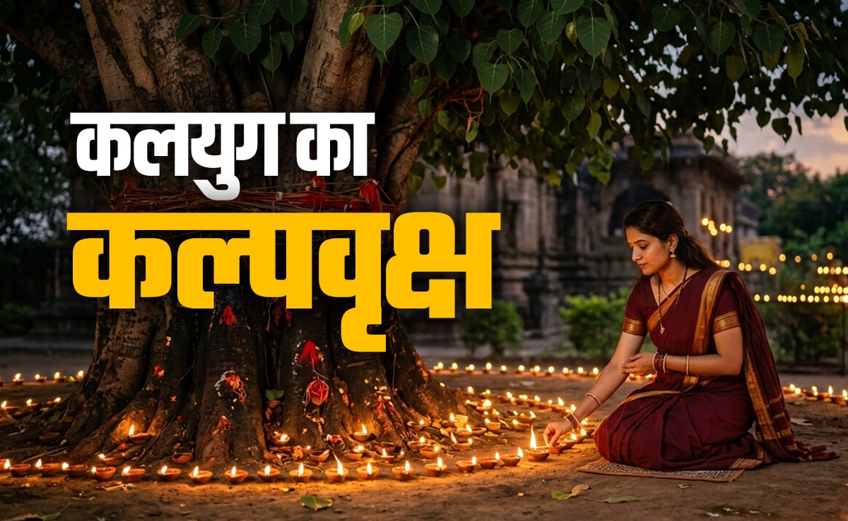 Peepal Tree: कलयुग का कल्पवृक्ष कहलाता है ये दिव्य पेड़, त्रिदेव संग कई देवी-देवताओं का इसमें होता है वास