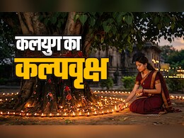 Peepal Tree: कलयुग का कल्पवृक्ष कहलाता है ये दिव्य पेड़, त्रिदेव संग कई देवी-देवताओं का इसमें होता है वास