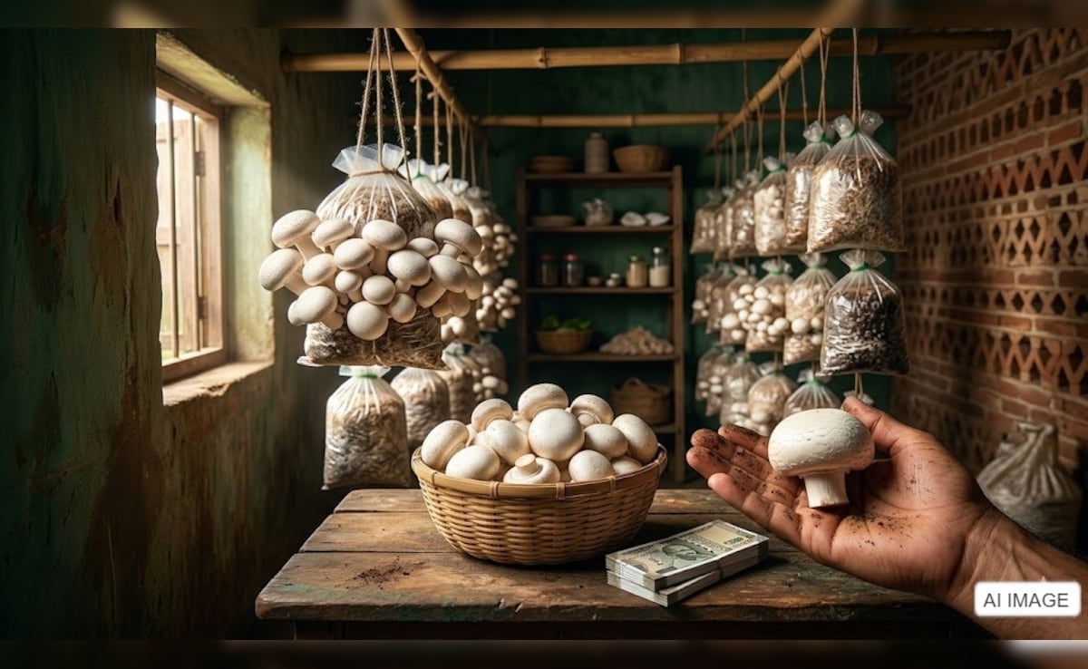 Business Idea: घर के खाली कमरे में उगाइए 'सफेद सोना'! शुरू करें मशरूम की खेती, हर महीने होगी ₹1 लाख तक की कमाई