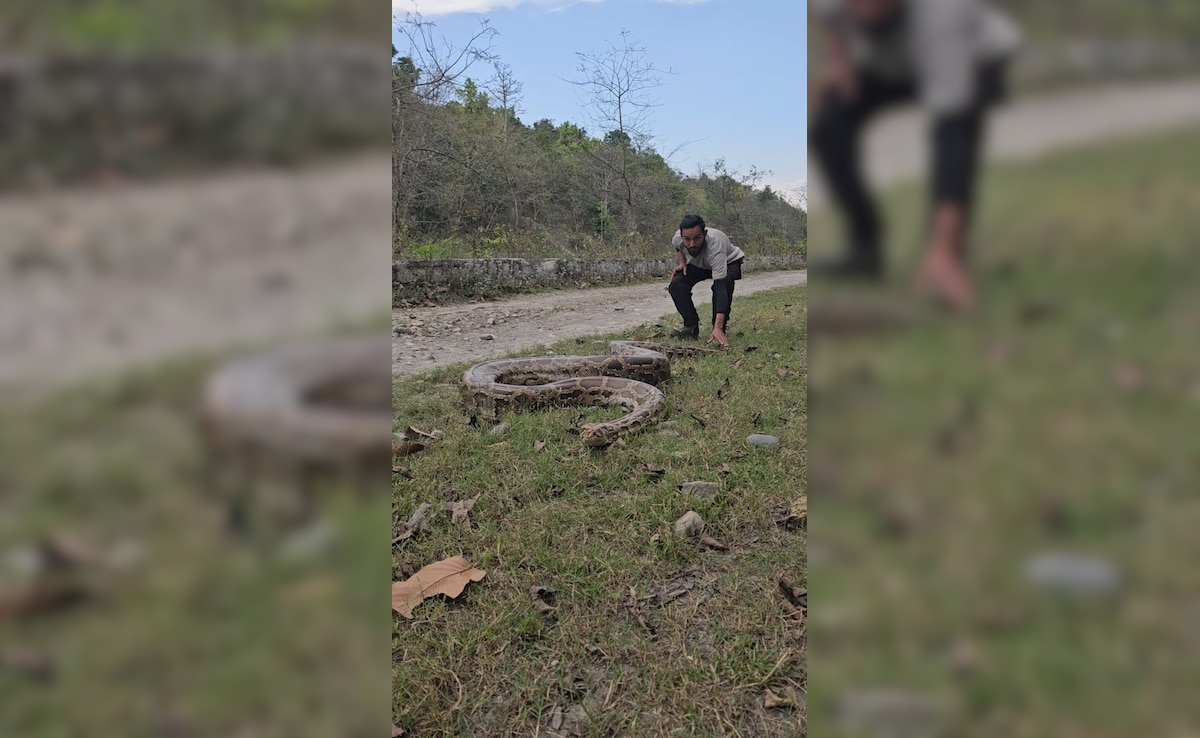 Latest and Breaking News on NDTV