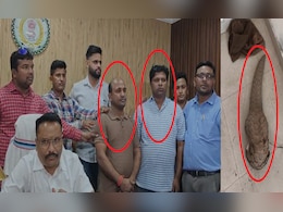 जिंदा पैंगोलिन तस्करी का भंडाफोड़; रायपुर में 50 करोड़ के सौदे की कोशिश नाकाम, दो तस्कर गिरफ्तार