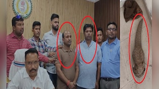 जिंदा पैंगोलिन तस्करी का भंडाफोड़; रायपुर में 50 करोड़ के सौदे की कोशिश नाकाम, दो तस्कर गिरफ्तार