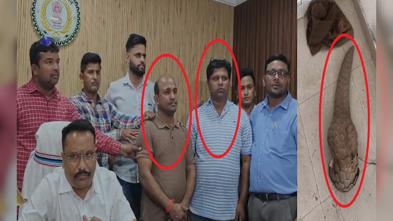 जिंदा पैंगोलिन तस्करी का भंडाफोड़; रायपुर में 50 करोड़ के सौदे की कोशिश नाकाम, दो तस्कर गिरफ्तार
