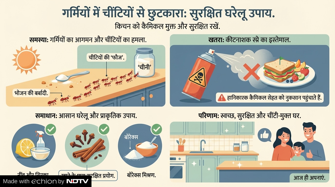 Latest and Breaking News on NDTV