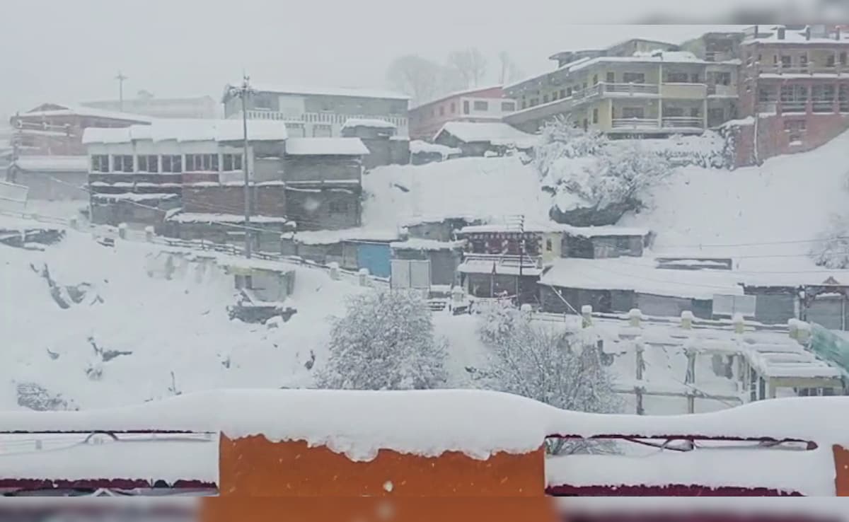 पहाड़ों में बेमौसम बारिश और बर्फबारी... क्यों बदल रहा है मौसम का पैटर्न, जानिए एक्सपर्ट्स की क्या है राय