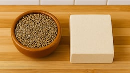 How To Make Viral Vegan Paneer With Watermelon Seeds At Home