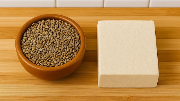 How To Make Viral Vegan Paneer With Watermelon Seeds At Home