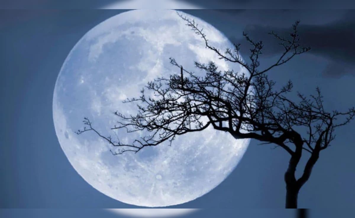 Flower Moon 2026: मई की पूर्णिमा को फ्लावर मून क्यों कहा जाता है? जानिए भारत में इसे कैसे देखें