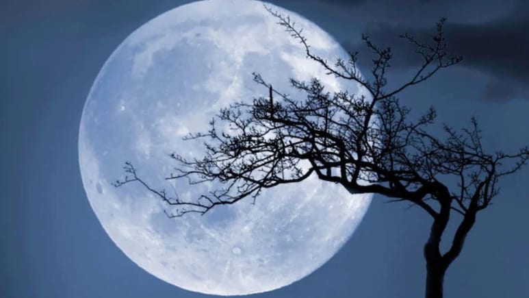 Flower Moon 2026: मई की पूर्णिमा को फ्लावर मून क्यों कहा जाता है? जानिए भारत में इसे कैसे देखें