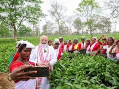 चाय पत्तियां तोड़ीं, सेल्फी खिंचाई...असम के चाय बगान में पीएम मोदी का दिखा अलग अंदाज