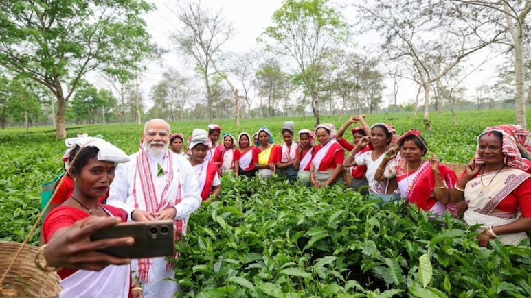 चाय पत्तियां तोड़ीं, सेल्फी खिंचाई...असम के चाय बागान में पीएम मोदी का दिखा अलग अंदाज