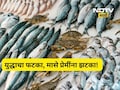 Trending News: मासे महागले! पापलेट, सुरमई, रावस, हलव्याचे दर पाहून डोळे फिरतील, पाहा दरपत्रक