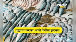 Trending News: मासे महागले! पापलेट, सुरमई, रावस, हलव्याचे दर पाहून डोळे फिरतील, पाहा दरपत्रक
