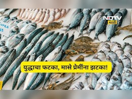 Trending News: मासे महागले! पापलेट, सुरमई, रावस, हलव्याचे दर पाहून डोळे फिरतील, पाहा दरपत्रक