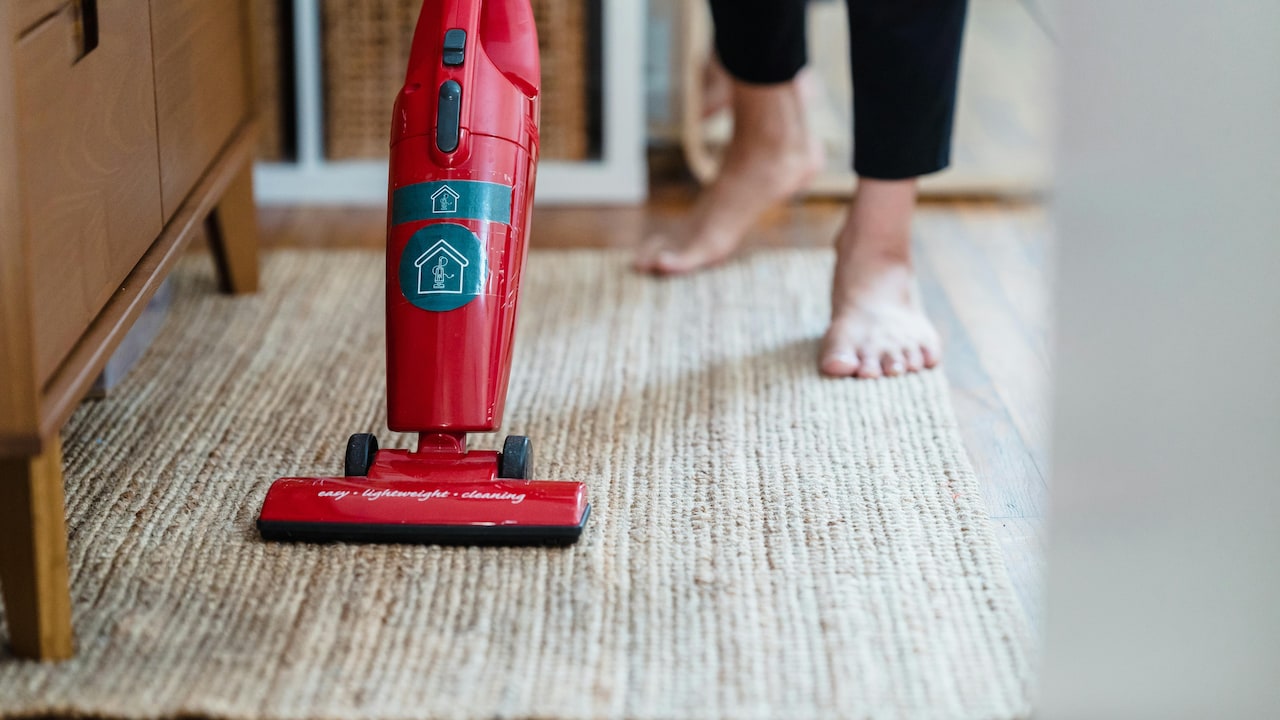 The Vacuum Cleaner Mistake Pet Owners Make While Buying Online