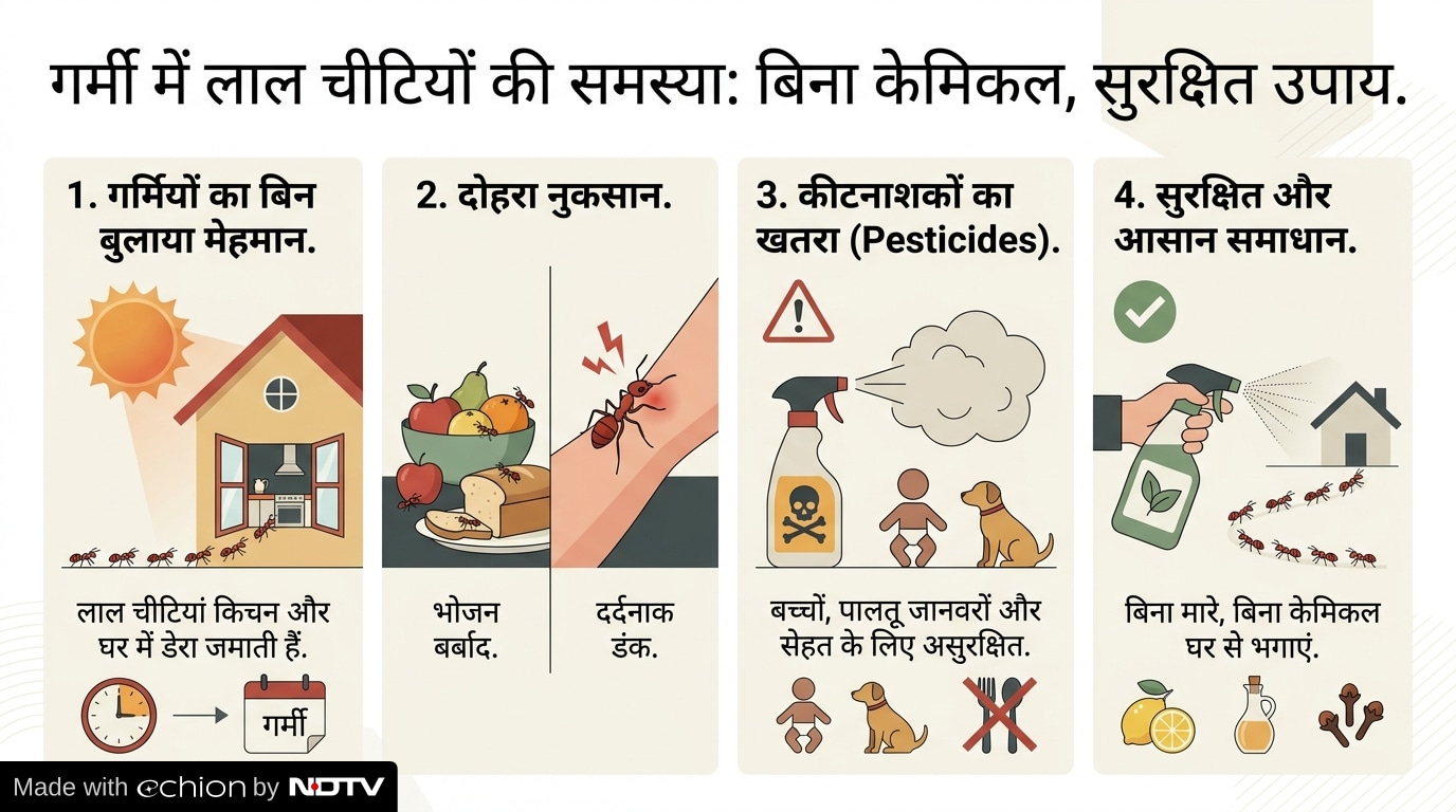 Latest and Breaking News on NDTV