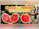तरबूज केमिकल से पका है या नहीं? इन 5 ट्रिक्स की मदद से लगाएं पता!