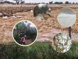 कुदरत का कहर: भिंड में आंधी-बारिश और ओलावृष्टि से भारी तबाही, दो की मौत, पार्षद महिला सहित आधा दर्जन लोग घायल