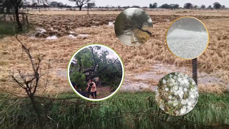 कुदरत का कहर: भिंड में आंधी-बारिश और ओलावृष्टि से भारी तबाही, दो की मौत, पार्षद महिला सहित आधा दर्जन लोग घायल