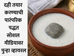 Homemade Curd: दुधात टाकताच घट्ट दही होते तयार... जाणून घ्या मॅजिक स्टोनचे फायदे, पारंपरिक पद्धत पुन्हा VIRAL