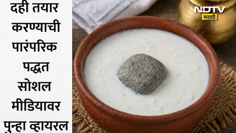Homemade Curd: दुधात टाकताच घट्ट दही होते तयार... जाणून घ्या मॅजिक स्टोनचे फायदे, पारंपरिक पद्धत पुन्हा VIRAL