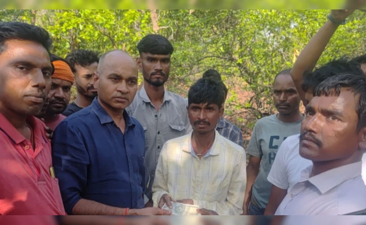 Jharkhand: महुआ इकट्ठा करने गई महिला बनी जंगली हाथियों का शिकार, पैरों के नीचे आकर कुचलने से हुई दर्दनाक मौत