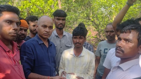 Jharkhand: महुआ इकट्ठा करने गई महिला बनी जंगली हाथियों का शिकार, पैरों के नीचे आकर कुचलने से हुई दर्दनाक मौत