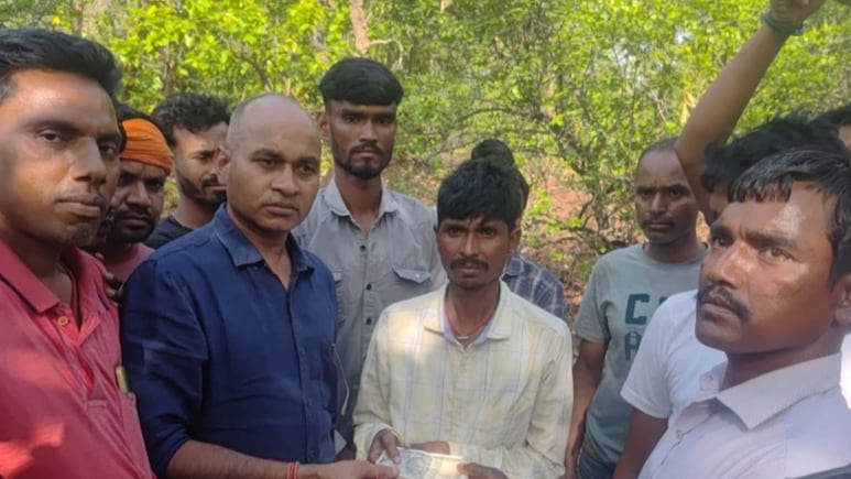 Jharkhand: महुआ इकट्ठा करने गई महिला बनी जंगली हाथियों का शिकार, पैरों के नीचे आकर कुचलने से हुई दर्दनाक मौत