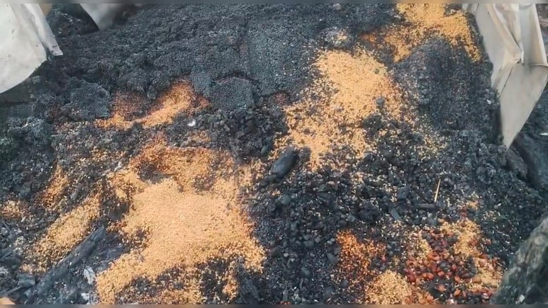 ₹2500 प्रति क्विंटल बिका जला गेहूं! आगजनी में खराब हुई फसल, विधायक ने मंडी जाकर दिलवाया सही दाम