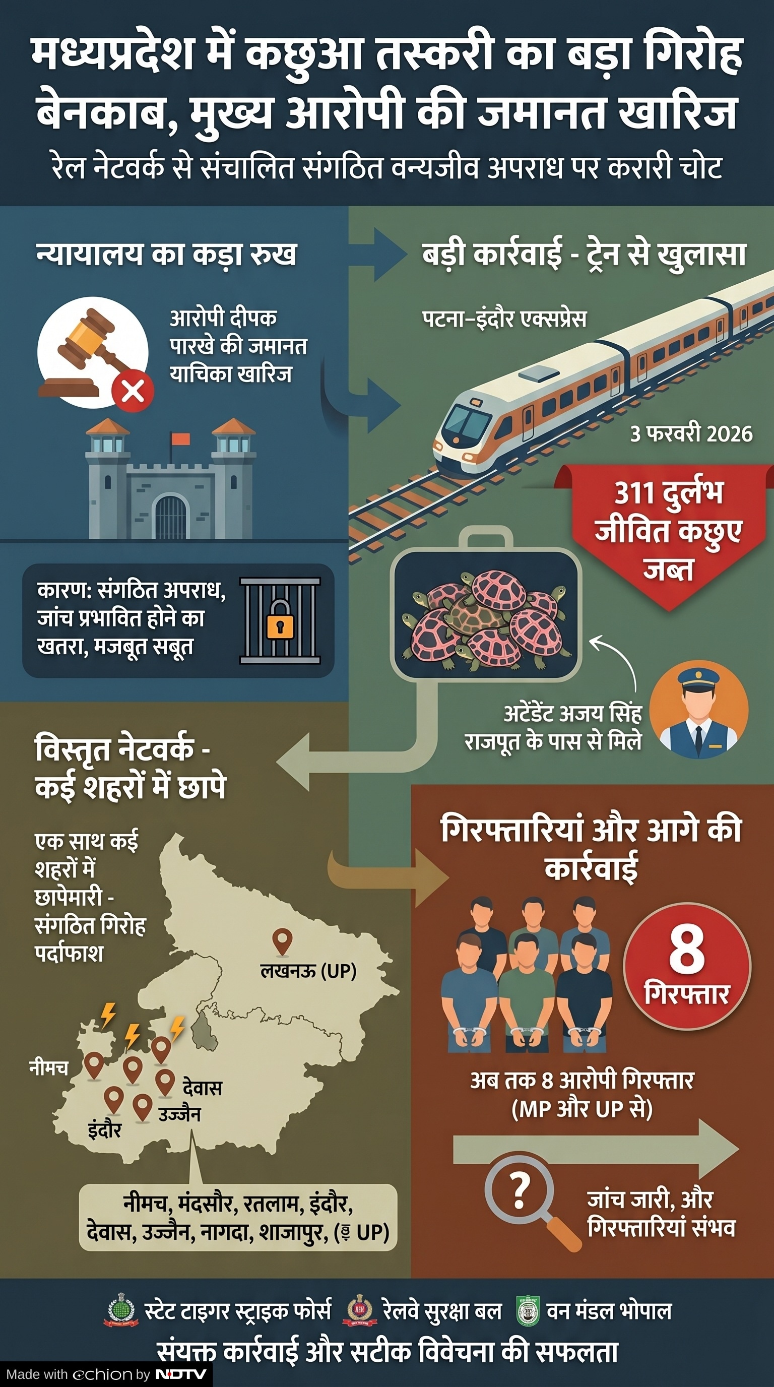 Turtle Smuggling Case: दुर्लभ कुछओं की तस्करी Turtle Smuggling Case: दुर्लभ कुछओं की तस्करी