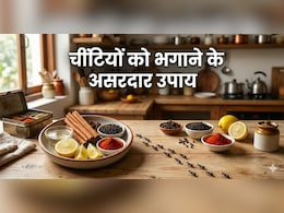 किचन और खाने में बार-बार हो जाती हैं चींटियां? अपनाएं ये आसान उपाय, उल्टे पांव भाग जाएंगी...
