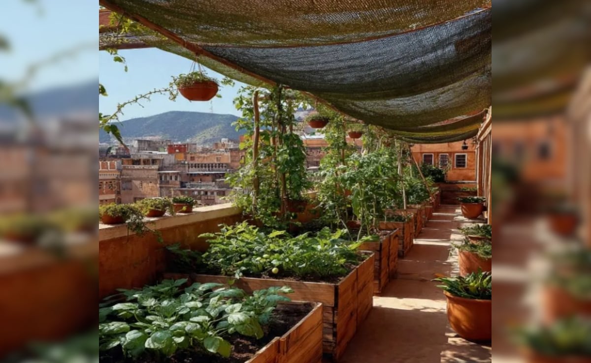 Latest and Breaking News on NDTV