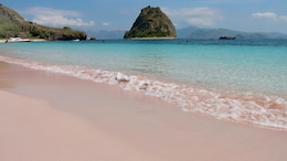 Which Pink Beach Should You Visit In Indonesia? Pantai Merah vs Long Beach Padar