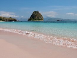Which Pink Beach Should You Visit In Indonesia? Pantai Merah vs Long Beach Padar
