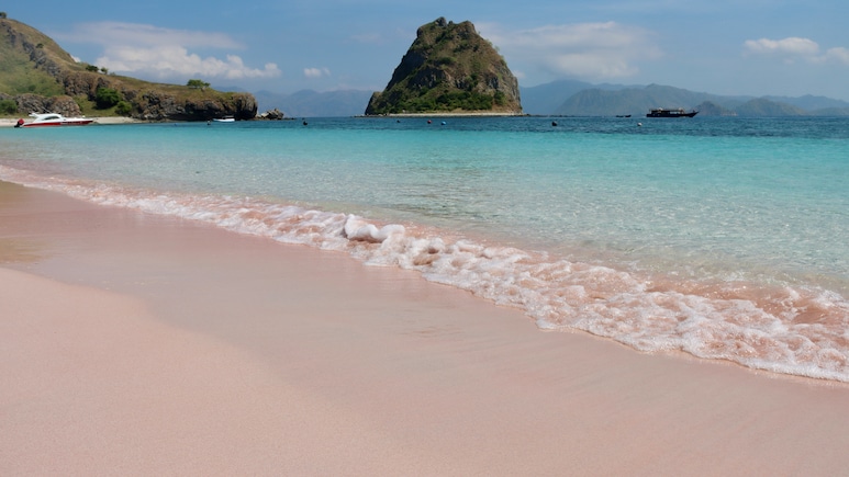 Which Pink Beach Should You Visit In Indonesia? Pantai Merah vs Long Beach Padar