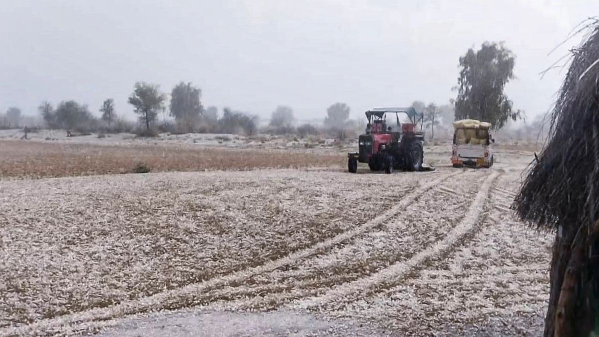 Latest and Breaking News on NDTV Latest and Breaking News on NDTV