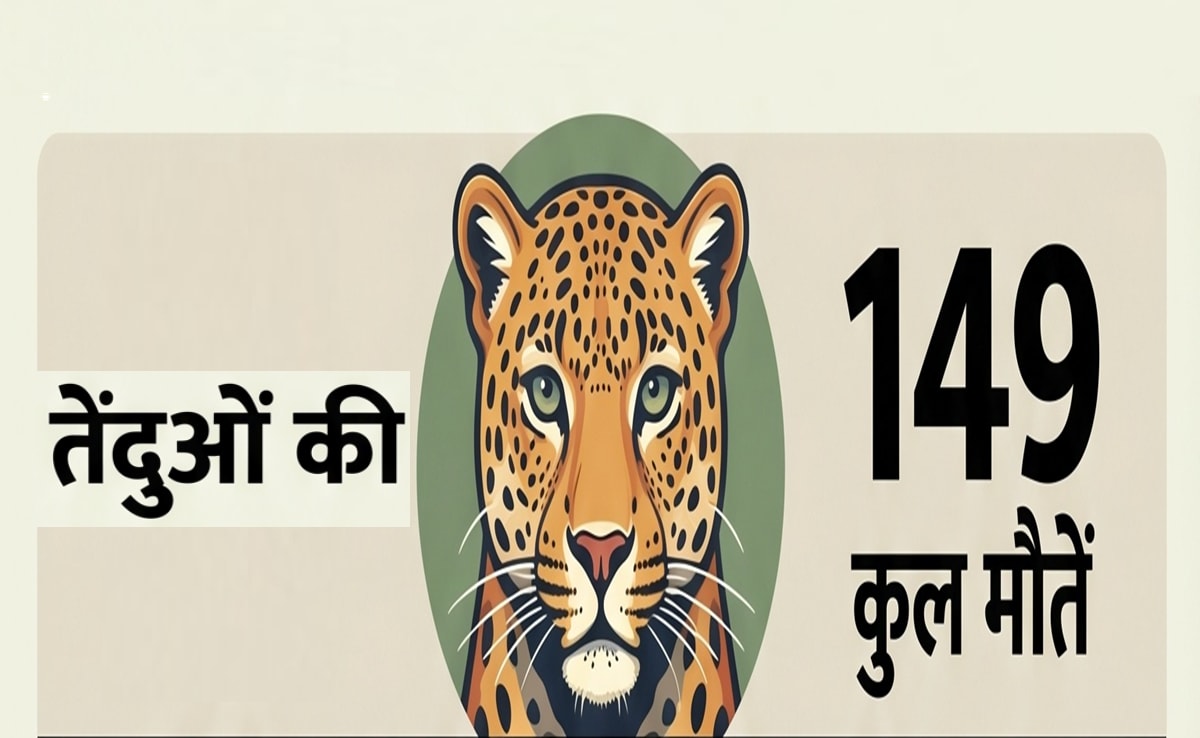 14 महीनों में 149 तेंदुओं की मौत; RTI में बड़ा खुलासा, टाइगर स्टेट क्यों बन रहा तेंदुए का 'कब्रिस्तान' जानिए
