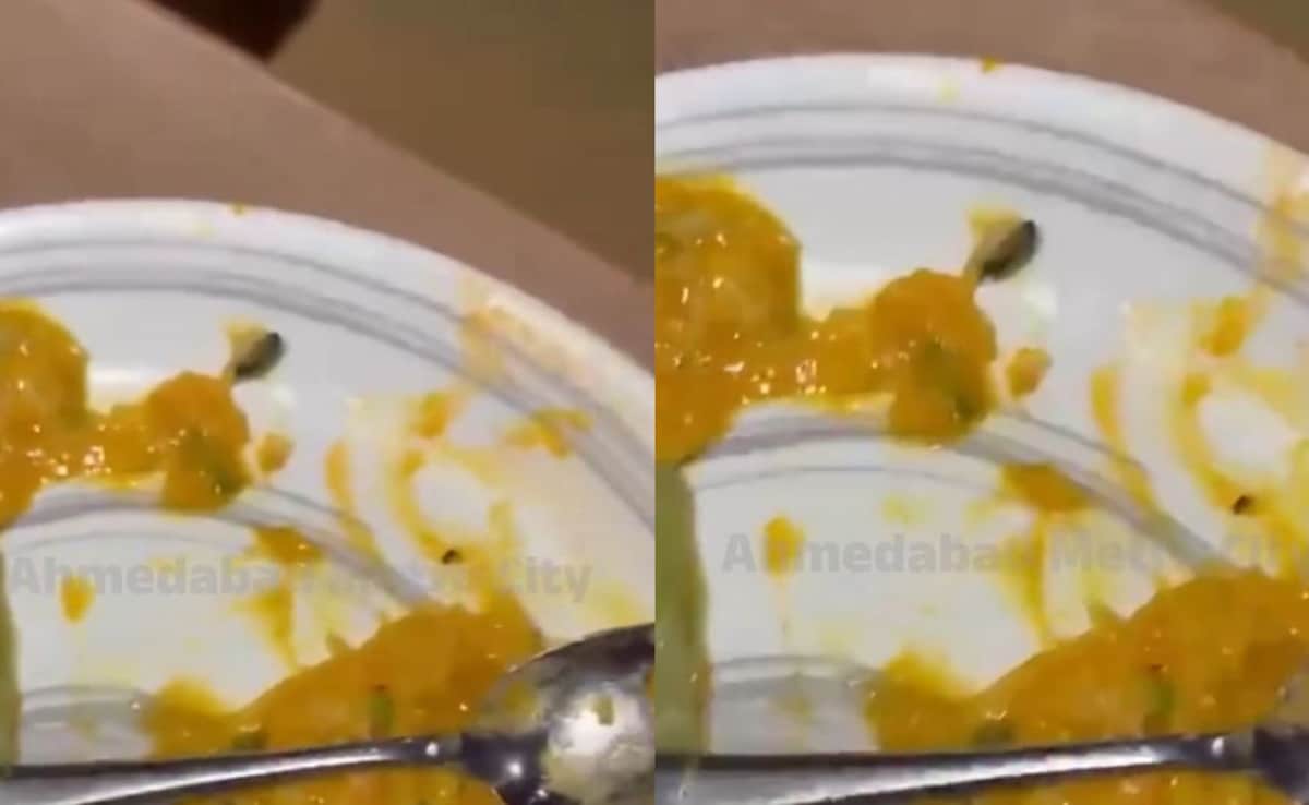 Insect Found In Food Served At Ahmedabad's 1944 The Hocco Kitchen, Food Authority Imposes Rs 5,000 Fine