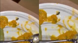 Insect Found In Food Served At Ahmedabad's 1944 The Hocco Kitchen, Food Authority Imposes Rs 5,000 Fine