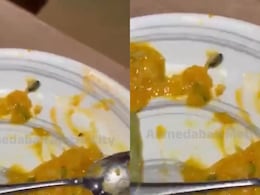 Insect Found In Food Served At Ahmedabad's 1944 The Hocco Kitchen, Food Authority Imposes Rs 5,000 Fine