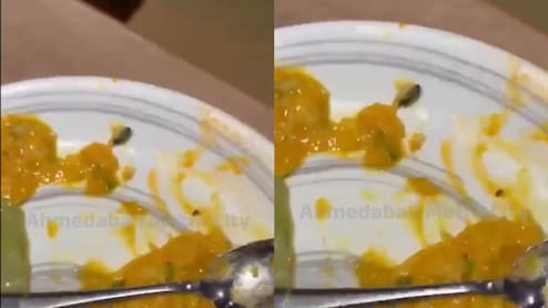 Insect Found In Food Served At Ahmedabad's 1944 The Hocco Kitchen, Food Authority Imposes Rs 5,000 Fine