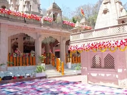 टाइगर रिजर्व में VIP शादी: मंत्री के बेटे के विवाह के लिए मंदिर में सजा पंडाल, वन विभाग ने उखाड़े टेंट