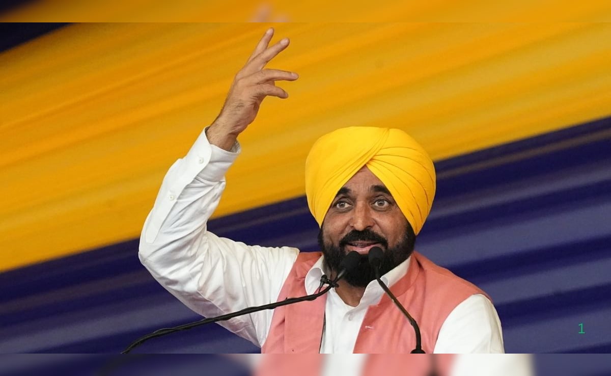 "Speaking From Some Other Station": Bhagwant Mann Slams Raghav Chadha
